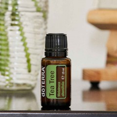 dōTERRA Melaleuca | Tea Tree Essential Oil | Melaleuca...