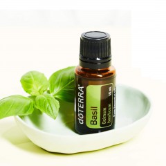dōTERRA Basil Essential Oil | Ocimum basilicum