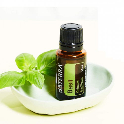 dōTERRA Basil Essential Oil | Ocimum basilicum