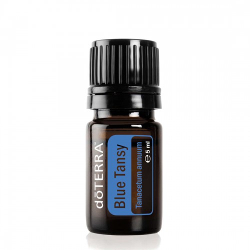 Olejek dōTERRA | Blue Tansy | Wrotycz Marokański