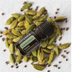 dōTERRA Cardamom Essential Oil | Elettaria Cardamomum