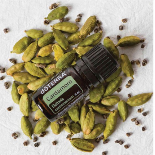 dōTERRA Cardamom Essential Oil | Elettaria...