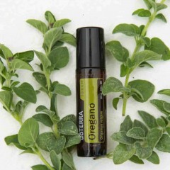 dōTERRA Oregano Touch Oil | Origanum vulgare