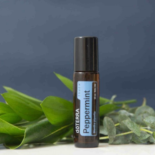dōTERRA Peppermint Touch Oil | Mentha piperita