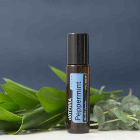 Olejek dōTERRA | Peppermint Touch | Mięta Pieprzowa