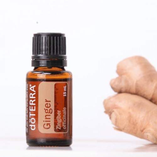 Olejek dōTERRA | Ginger | Olejek Imbirowy