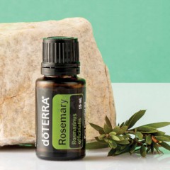 dōTERRA Rosemary Essential Oil | Rosmarinus officinalis