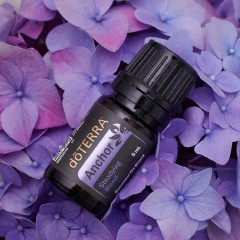 dōTERRA Anchor Oil | Steadying Blend