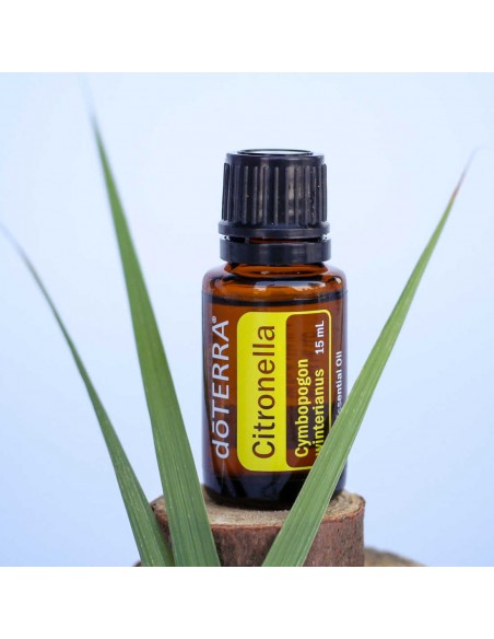 Olejek dōTERRA | Citronella | Olejek Cytronelowy
