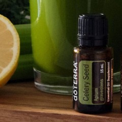 Olejek dōTERRA | Celery Seed | Z Nasion Selera