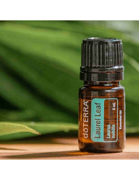 Olejek dōTERRA | Laurel Leaf | Liść Laurowego