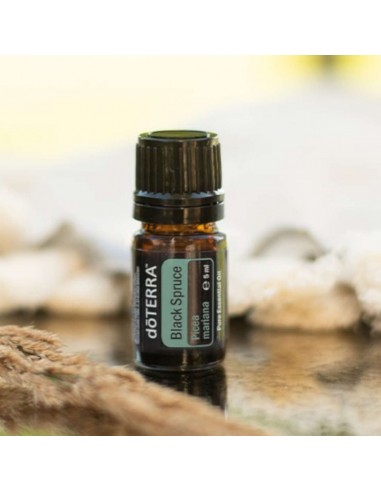 Olejek dōTERRA | Black Spruce | Czarny Świerk