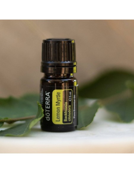 dōTERRA Lemon Myrtle Oil | Backhousia citriodora