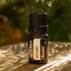 Olejek dōTERRA | Hinoki  | Chamaecyparis obtusa