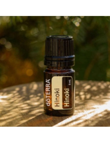 Olejek dōTERRA | Hinoki  | Chamaecyparis obtusa