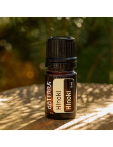 Olejek dōTERRA | Hinoki  | Chamaecyparis obtusa