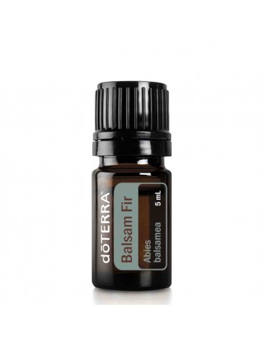 Olejek dōTERRA | Balsam Fir | Abies balsamea