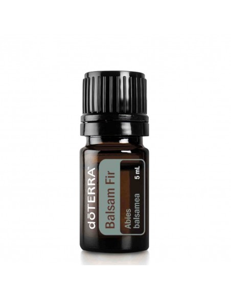 Olejek dōTERRA | Balsam Fir | Abies balsamea
