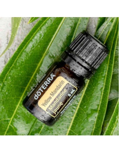 Olejek dōTERRA | Żółta mandarynka | Yellow...