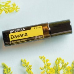 dōTERRA Davana Touch Oil | Artemisia pallens