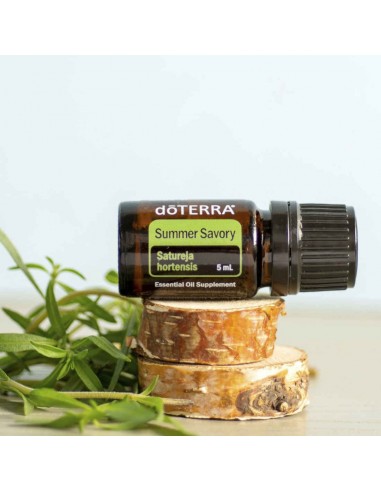 dōTERRA Summer Savory Oil | Satureja hortensis