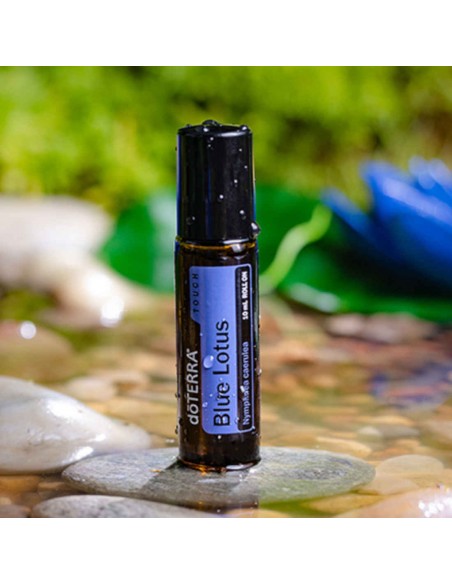 Olejek dōTERRA Blue Lotus Touch | Olejek z Błękitnego Lotosu w Kulce