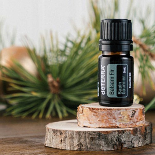 doterra-balsam-fir-oil