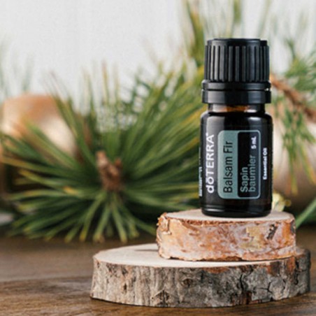 doterra-balsam-fir-oil